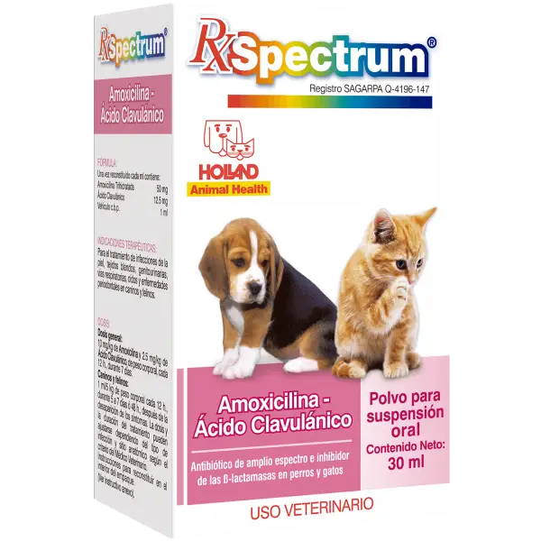 RX SPECTRUM AMOXICILINA- ACIDO CLAVULANICO