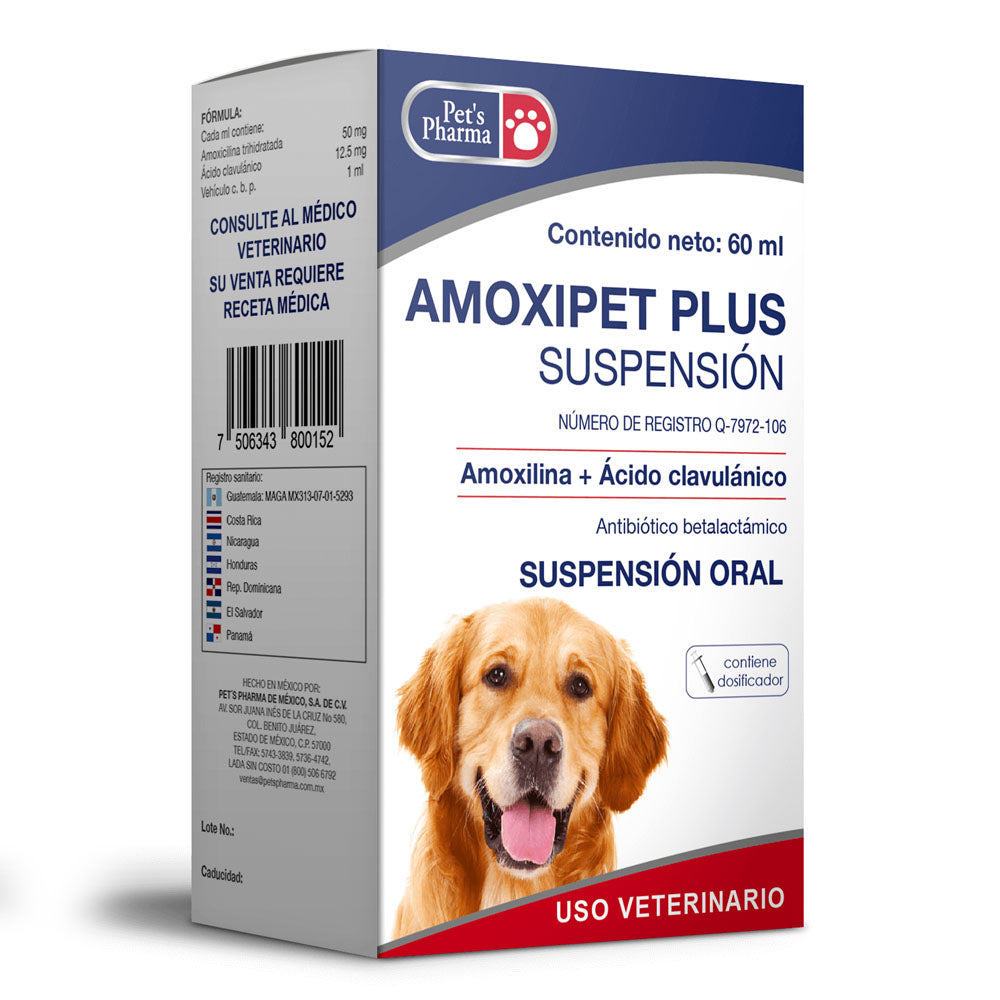 AMOXIPET PLUS suspensión (amoxicilina + ácido clavulánico)