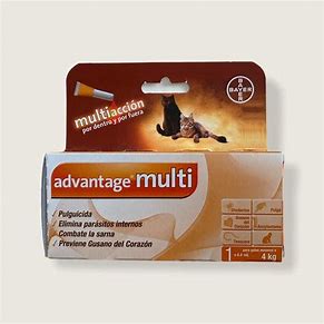 advantage multi gato -4kg