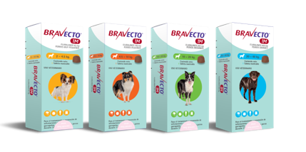 Bravecto 1 mes