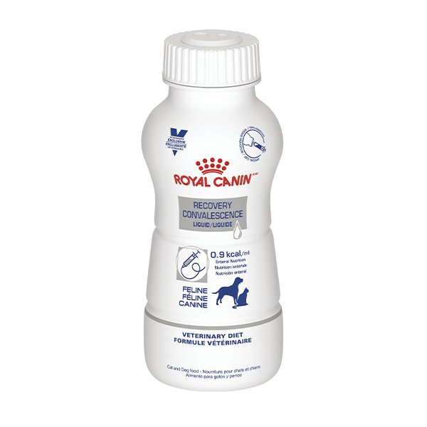 alimento liquido recovery royal canin